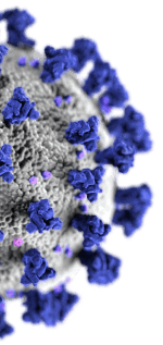 Home covid 19 virus illustration half slice