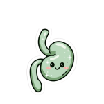 Home kawaii gallbladder smiling sticker for sale by mathewulg removebg preview.png